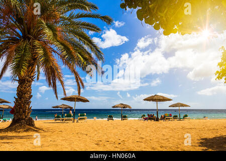 Il mare turchese, sdraio, giallo sabbia e palme, sole, molto bella natura Foto Stock