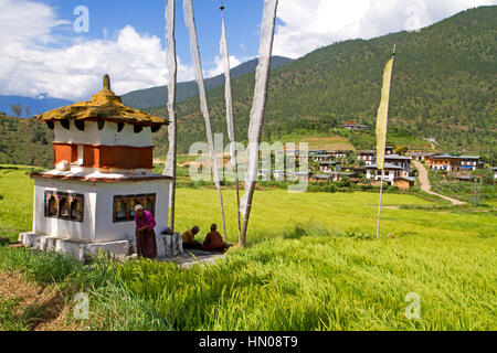 Chorten in campi di riso in Punakha Foto Stock