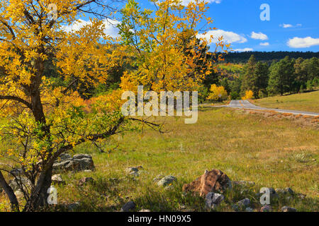 Iron Mountain Road, Peter Norbeck Scenic Highway, Keystone, Dakota del Sud, STATI UNITI D'AMERICA Foto Stock