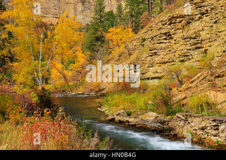 Lunga Valle Area picnic, Spearfish Creek, Spearfish Canyon, Black Hills, Spearfish, Dakota del Sud, STATI UNITI D'AMERICA Foto Stock