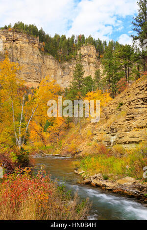 Lunga Valle Area picnic, Spearfish Creek, Spearfish Canyon, Black Hills, Spearfish, Dakota del Sud, STATI UNITI D'AMERICA Foto Stock