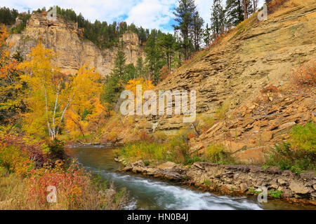 Lunga Valle Area picnic, Spearfish Creek, Spearfish Canyon, Black Hills, Spearfish, Dakota del Sud, STATI UNITI D'AMERICA Foto Stock