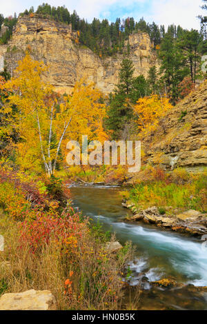 Lunga Valle Area picnic, Spearfish Creek, Spearfish Canyon, Black Hills, Spearfish, Dakota del Sud, STATI UNITI D'AMERICA Foto Stock