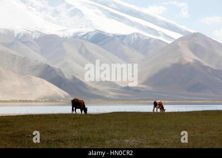 Muztagh Ata e Lago Karakul Foto Stock