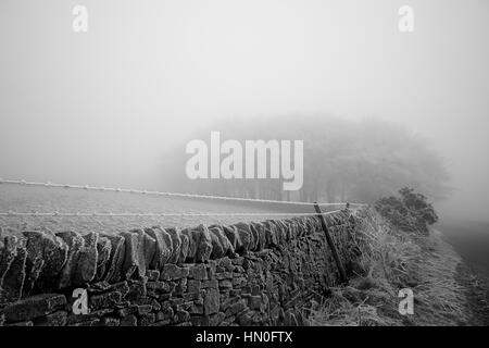 Woodland avvolta in una fitta nebbia di congelamento nel Parco Nazionale di Peak District Foto Stock