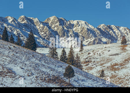 Inverno pieno di sole il paesaggio alpino in Piatra Craiului National Park, la contea di Brasov, Romania. Foto Stock