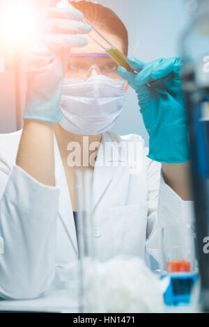 Bruna lavora con le provette per la prova in laboratorio di chimica Foto Stock