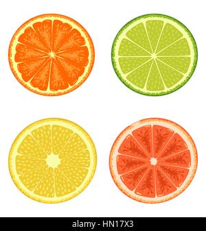 Set di agrumi isolato su bianco Illustrazione Vettoriale