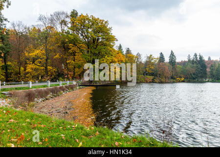 Parco autunno con raggi di sole nel tardo autunno foresta Foto Stock