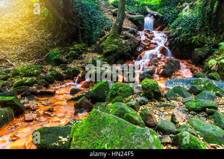 Bella cascata con alberi e foglie rosse, delle rocce e delle pietre nella foresta di autunno. Foto Stock