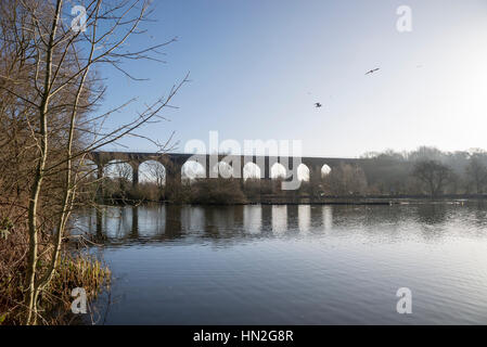 Reddish Vale Country Park, Greater Manchester, Inghilterra Foto Stock