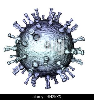 Immagine del calcolatore del virus di varicella zoster particelle, la causa della varicella e herpes zoster. Il virus della varicella zoster è noto anche come virus di herpes umano di tipo 3 (HHV-3). Foto Stock