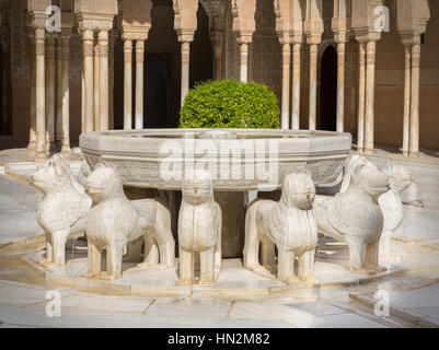 Fontana leone alhambra Foto Stock