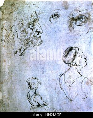 Studi volti a penna e inchiostro di disegno di Leonardo da Vinci 1452-1519 Collezione privata Foto Stock