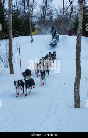 Kristian Walseth, ricoperta di neve durante la gara 650 - Nesseby, Norvegia, 31 gennaio. 2017 - Bergebyløpet N70 ©Samuel Bay/VTHK Foto Stock