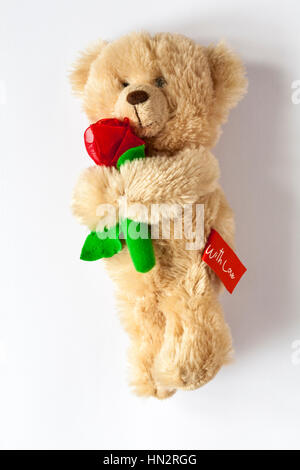 Orsacchiotto di peluche morbido peluche tenendo una rosa rossa con amore giusto per il giorno di San Valentino impostato su sfondo bianco - ideale presente regalo per il giorno di San Valentino Foto Stock