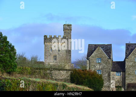 L'ingresso di un vecchio castello inglese in Irlanda Foto Stock