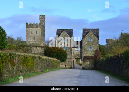 L'ingresso di un vecchio castello inglese in Irlanda Foto Stock