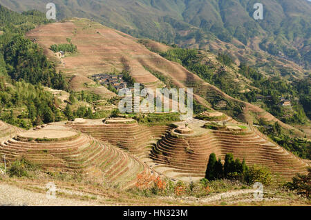 Dragon's Backbone terrazze di riso - antica belle terrazze di riso di Longsheng vicino a Guilin, provincia del Guanxi, Cina Foto Stock