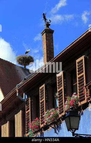 Détail de maisons avec colombages dans une rue du village. Ribeauvillé. F 68 Foto Stock