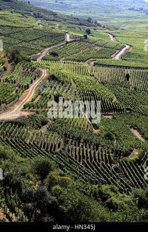 Vue aérienne sur le vignoble Autour du village. Kaysersberg. F 68 Foto Stock