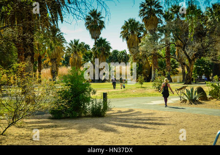 Tucson, Arizona, Aqua Caliente Oasis Park Foto Stock