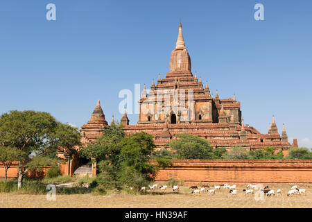 Myanmar (Birmania), Bagan, Sulamani Pahto - è uno di Bagan più attraente. Questo tempio, conosciuta come il gioiello di coronamento, fu costruito intorno al 1181 da n. Foto Stock