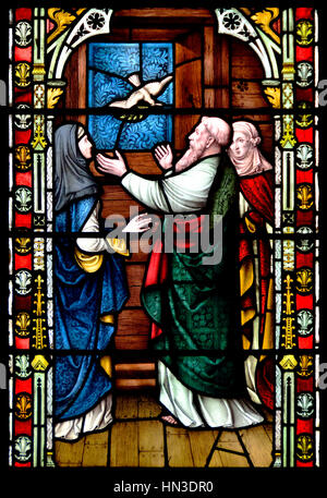 Faversham Kent, Inghilterra. Santa Maria della Carità chiesa parrocchiale. Finestra di vetro colorato: Noè accogliente la colomba torna a l'arca con un ramo di olivo Foto Stock