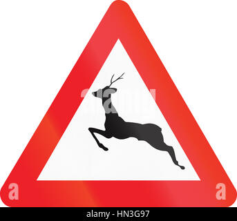 Avvertenza belga cartello stradale - animali selvatici. Foto Stock