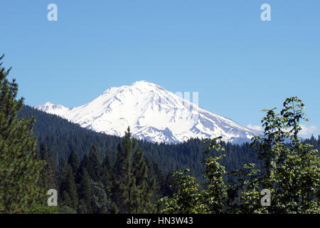 Mount Shasta Foto Stock