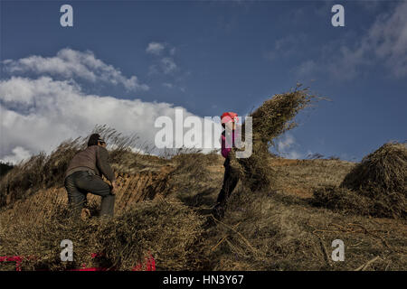 Kunming, Kunming, in Cina. 31 gennaio, 2017. Kunming, in Cina-gennaio 31 2017: (solo uso editoriale. Cina OUT).Scenario di Dongchuan rosso della terra in Kunming, capitale della Cina del sud della provincia di Yunnan, Gennaio 31st, 2017. Il Dongchuan rosso della terra, chiamato come 'tavolozza di colori rovesciati da Dio", è una ben nota attrazione turistica in Yunnan. Credito: SIPA Asia/ZUMA filo/Alamy Live News Foto Stock