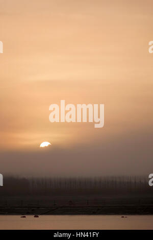 Fattoria Tuesley, Godalming. 8 febbraio 2017. Calma e condizioni blande su Home Counties questa mattina. Alba sul terreno coltivato in Godalming, Surrey. Credito: James jagger/Alamy Live News Foto Stock