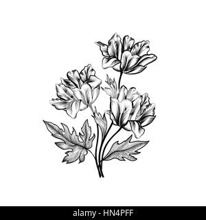 Cornice floreale con fiori d'estate. bouquet floreale con tulipani. vintage biglietto di auguri con fiori fioriscono confine. sfondo floreale. Illustrazione Vettoriale