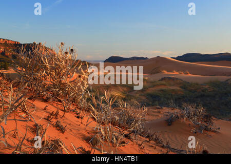 Un paesaggio con rossastro dune di sabbia catturato in Coral Pink Sand Dunes State Park nel sud dello Utah. Foto Stock