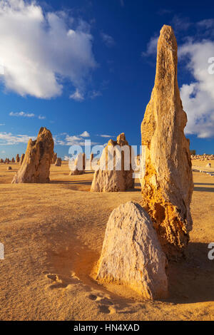 Il Deserto Pinnacles nel Nambung National Park, Australia occidentale. Foto Stock