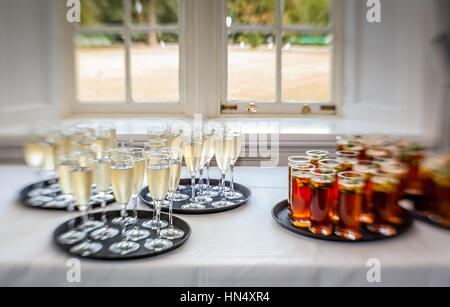 Vetri contenenti wedding punzone e champagne per essere servito agli ospiti Foto Stock