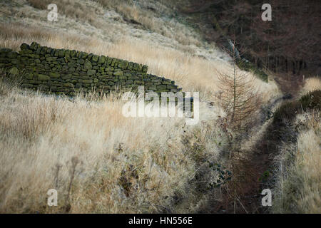 Bosco invernale walkers percorso Toreside vicino serbatoio in Crowden il lago artificiale più grande nel nord Longdendale Derbyshire, Inghilterra, Regno Unito. Foto Stock