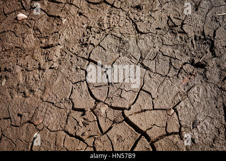 Siccità, massa rotto immagine di sfondo, il cambiamento climatico concetto. Foto Stock
