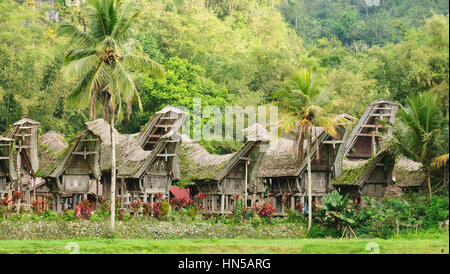 Tradizionali di spazzamento e riccamente dipinte case con forma a scafo tetti di Tana Toraja. Casa Tongkonan sull'ke'te Kesu village. Sulawesi Sud, Foto Stock