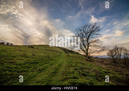 Il sentiero sulla collina Wolstonbury, South Downs National Park nel tardo pomeriggio in autunno. Foto Stock