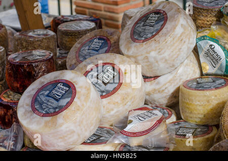 Spagnolo di formaggio di capra sul display al Fiesta de matanza, celebrazioni annuali in Ardales.Andalusia, Spagna. Foto Stock
