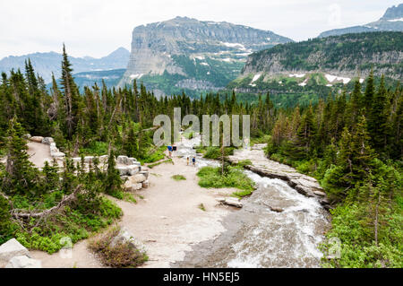 Il pranzo Creek e pesanti montagna Runner dall'andare-per-il-Sun Road nel Parco Nazionale di Glacier, Montana, USA. Foto Stock