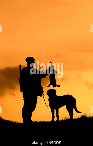 Cacciatore con morti brown Lepre e cani Weimaraner stagliano contro il cielo di sera, Germania Foto Stock