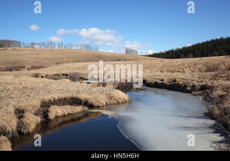 Congelati Albertan praterie in primavera nei pressi di Calgary Foto Stock