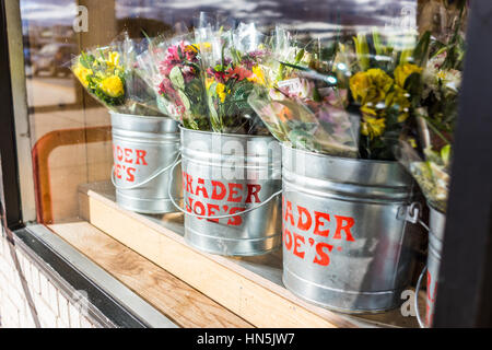 Fairfax, Stati Uniti d'America - 18 Gennaio 2017: secchi di fiori con Trader Joe's segni vista dall'esterno del negozio Foto Stock