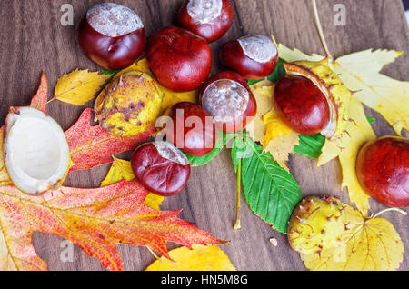 Autunno still life, castagne close up, sfondo Foto Stock