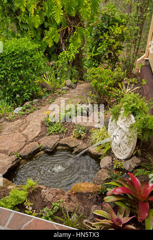 Stagno con grande pietra scolpita uscito faccia acqua nella piscina circondata da rockery con colorati bromeliacee, smeraldo di felci, di arbusti e fiori Foto Stock
