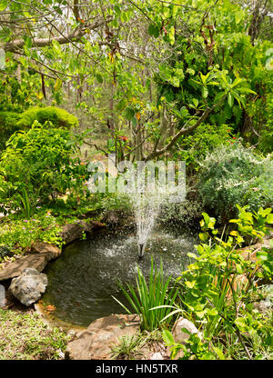 Giardino acqua caratteristica con ampio laghetto e fontana centrale circondata da alberi di ombreggiatura e lussureggiante vegetazione verde in Australia Foto Stock