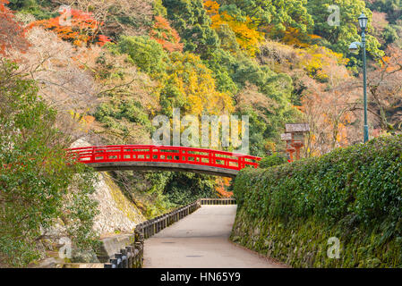 Minoo Park nella stagione autunnale, Minoh, Osaka Kansai, Giappone Foto Stock