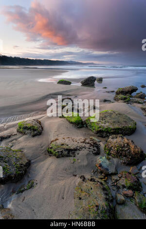 La lontra di pittoresca spiaggia di roccia in mattinata a nord di Newport, Oregon. Tiro di prima mattina. Foto Stock